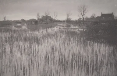 A Rushy Shore, plate XXXV from Life and Landscape on the Norfolk Broads
